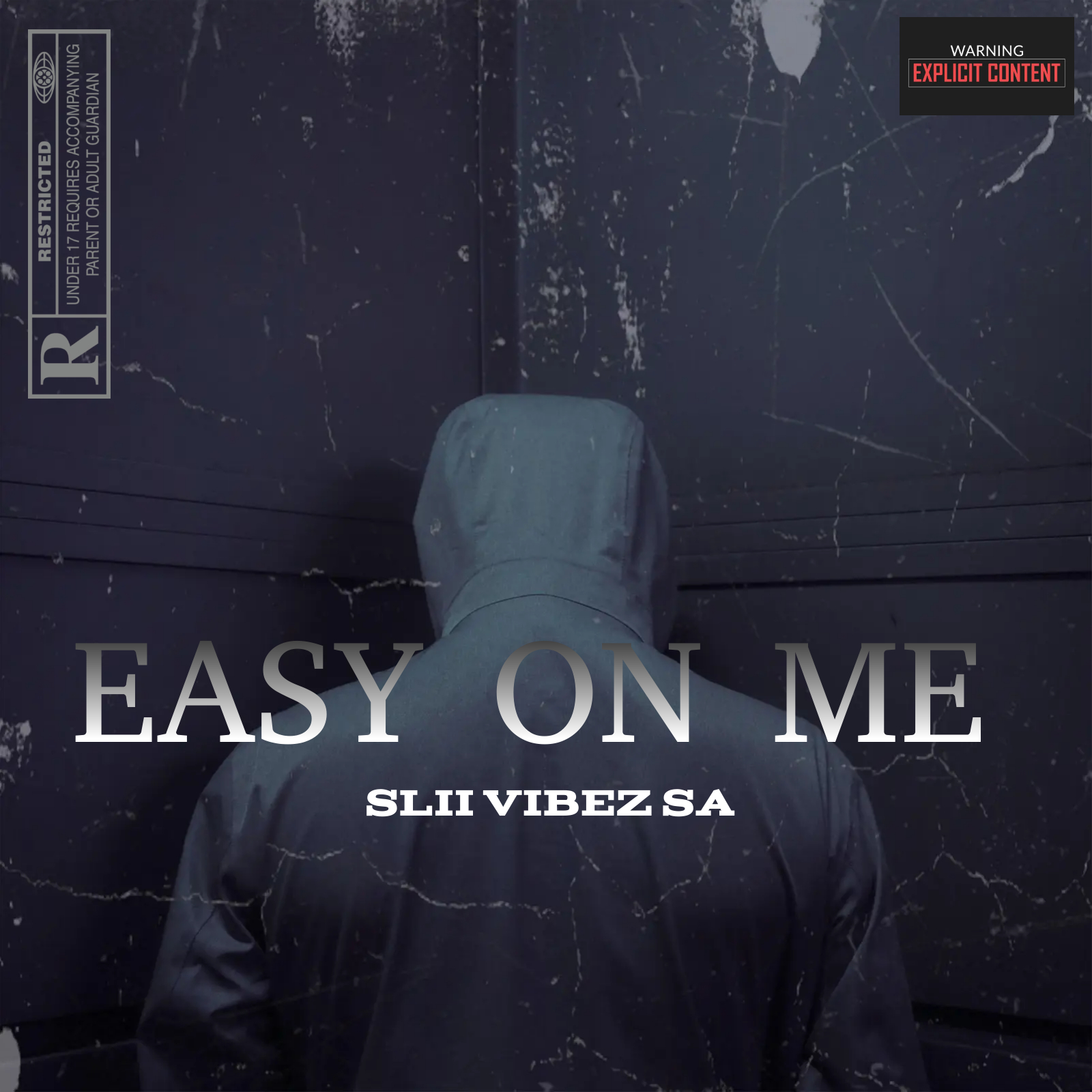 Easy on Me - Slii Vibez SA